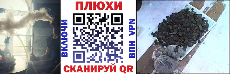 Купить где  Фатеж  ГАШ хэш 