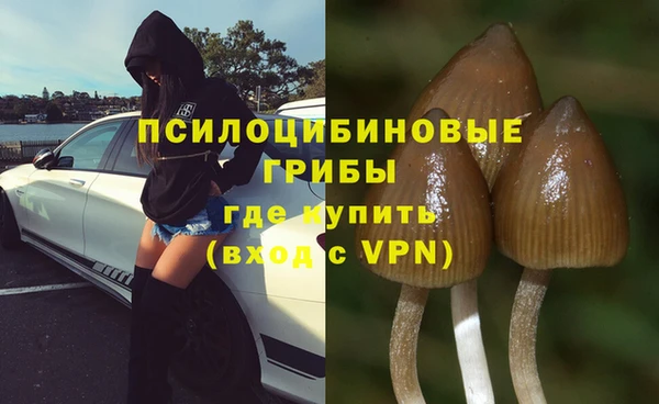 мяу мяу кристалл Дмитриев