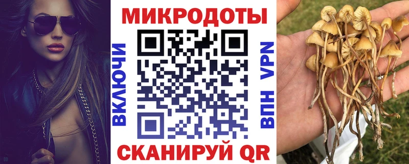 Купить  Фатеж  Галлюциногенные грибы MAGIC MUSHROOMS 